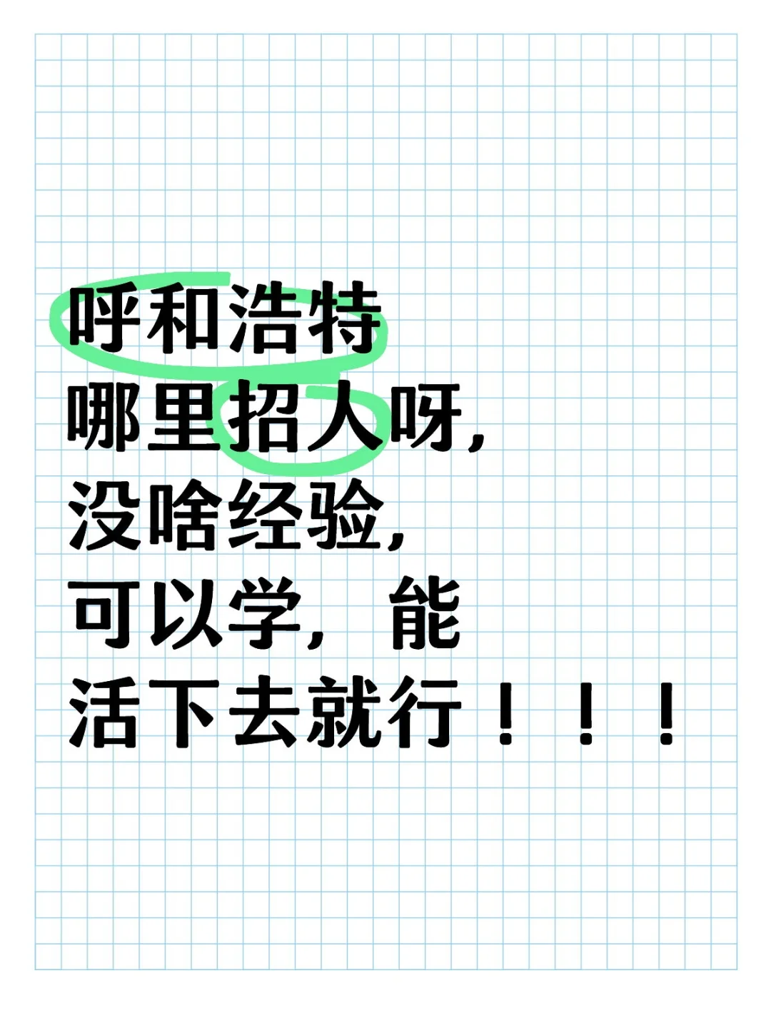 工作工作快快来！！！
