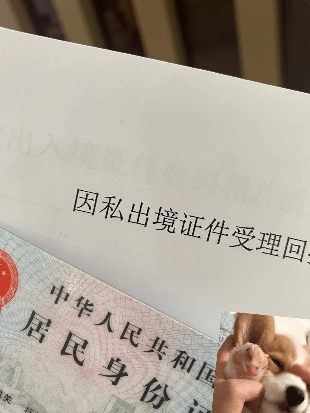 抚顺护照、港澳台通行证办理.