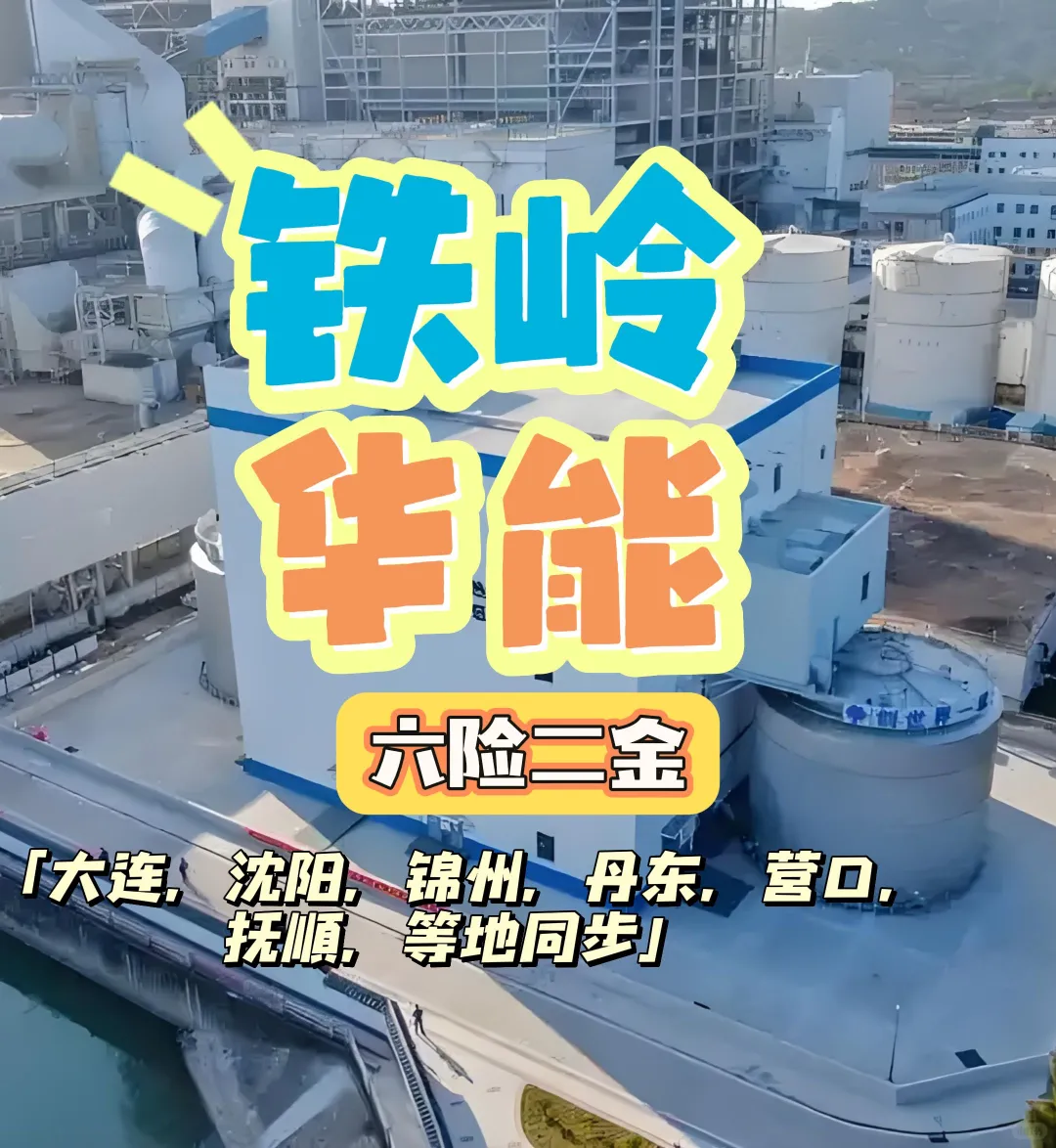 铁岭华能招聘（全省同步）啥岗位？