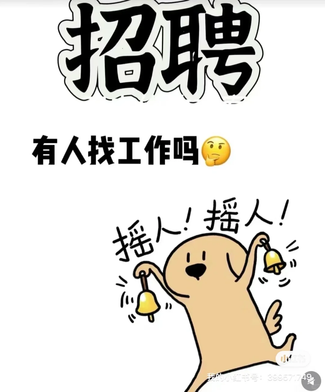 河北保定莲池招人