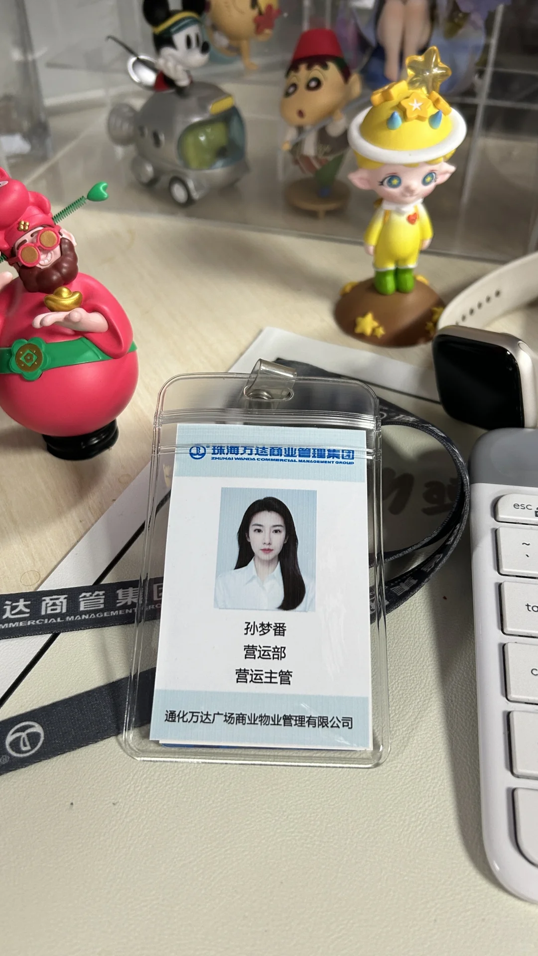 重生之我在通化万达招商🍠