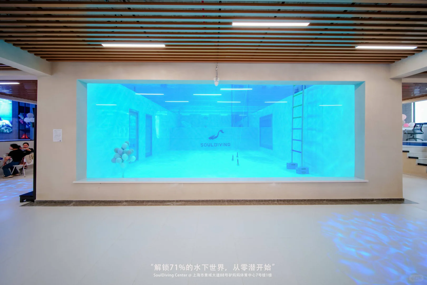 上海新晋打卡地标招募直播美人鱼啦！