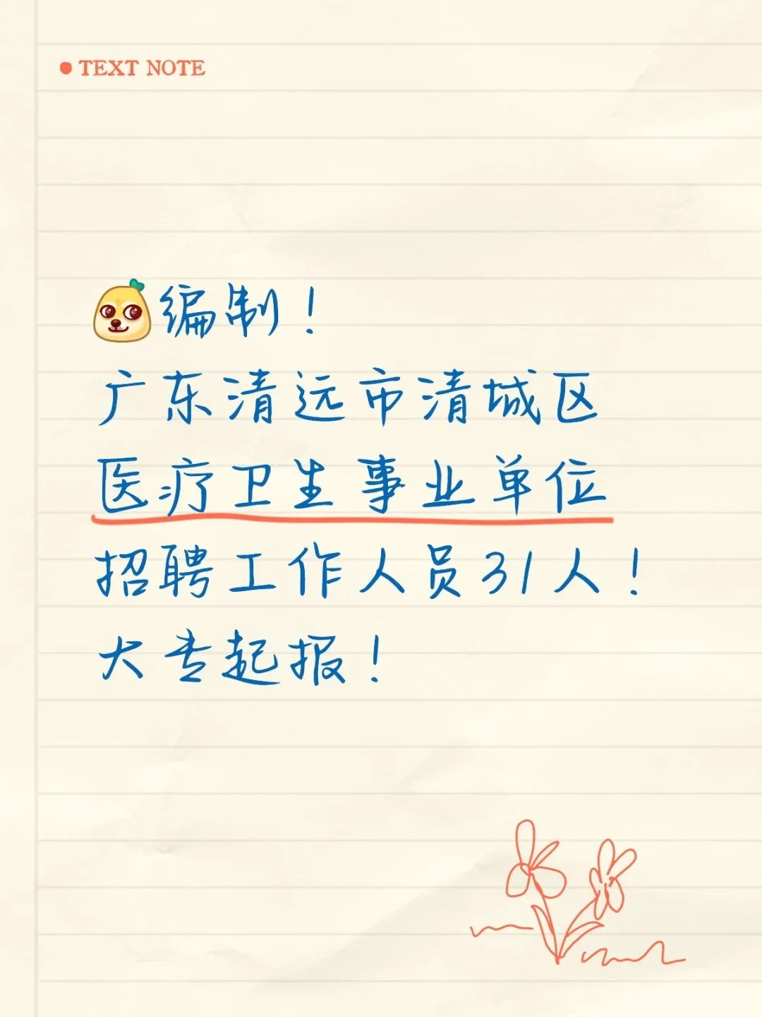 清远清城区医疗卫生招聘编制-资料