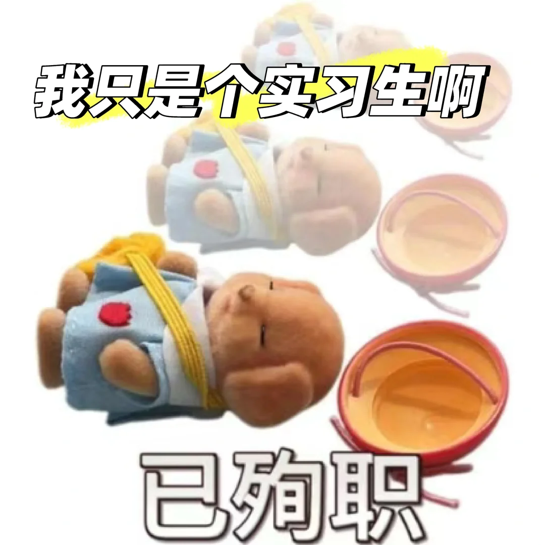 宝宝，我们只是实习生啊🥺