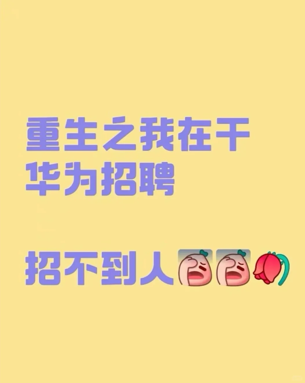 重生之我在华为做招聘