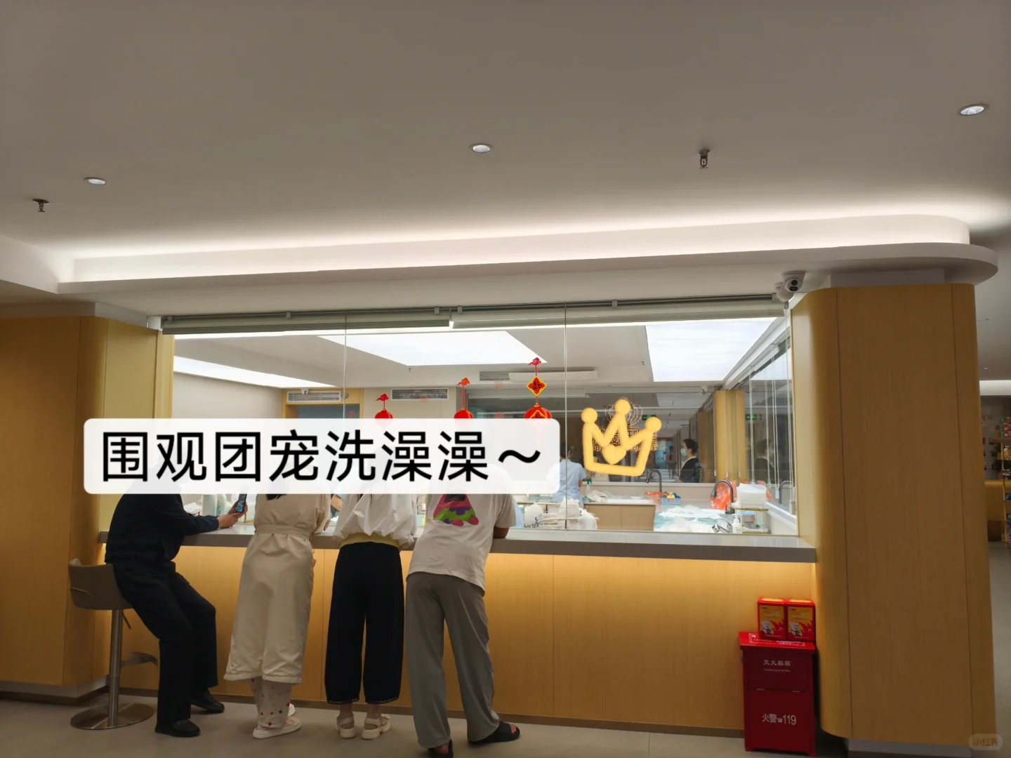 月子中心急聘“宝藏育婴师”