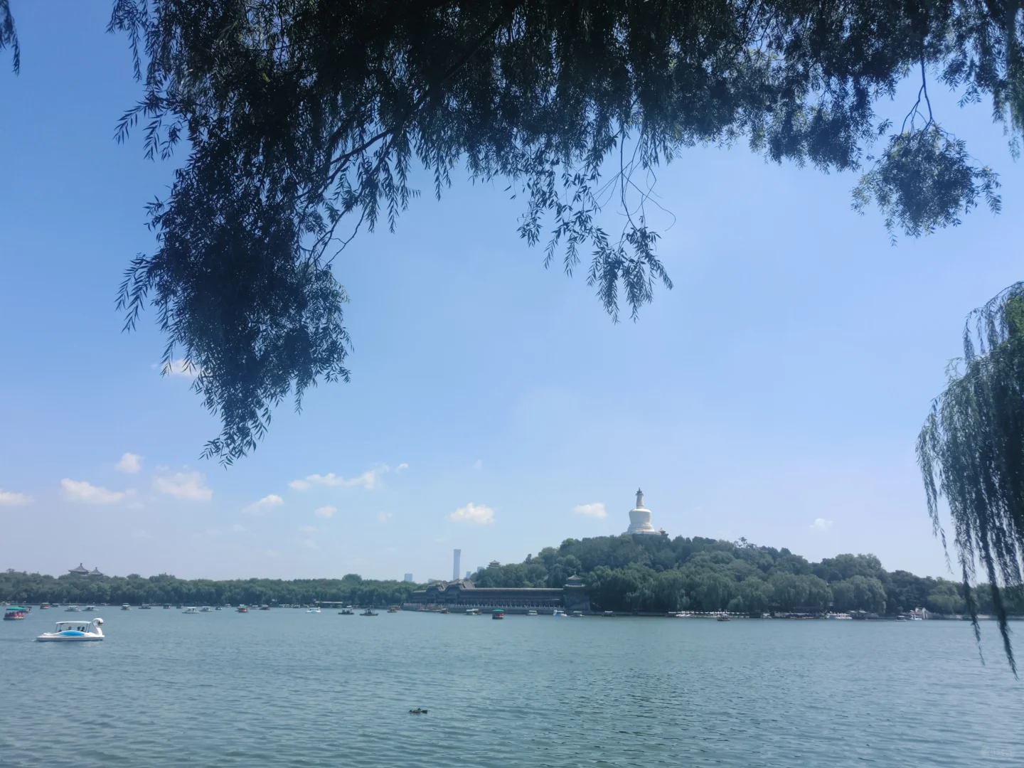 速来！北京实习生交流群