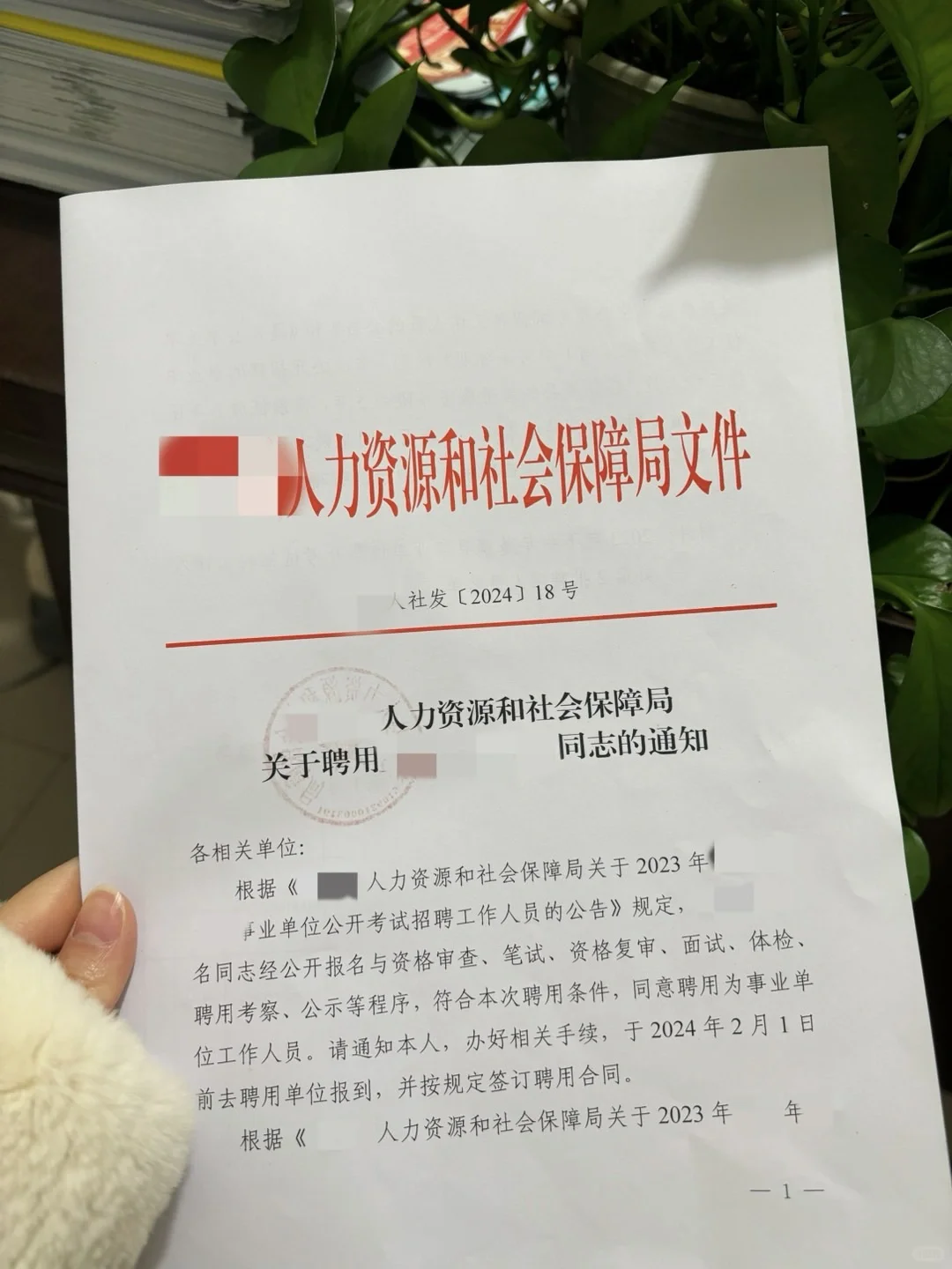 33岁上岸事业编