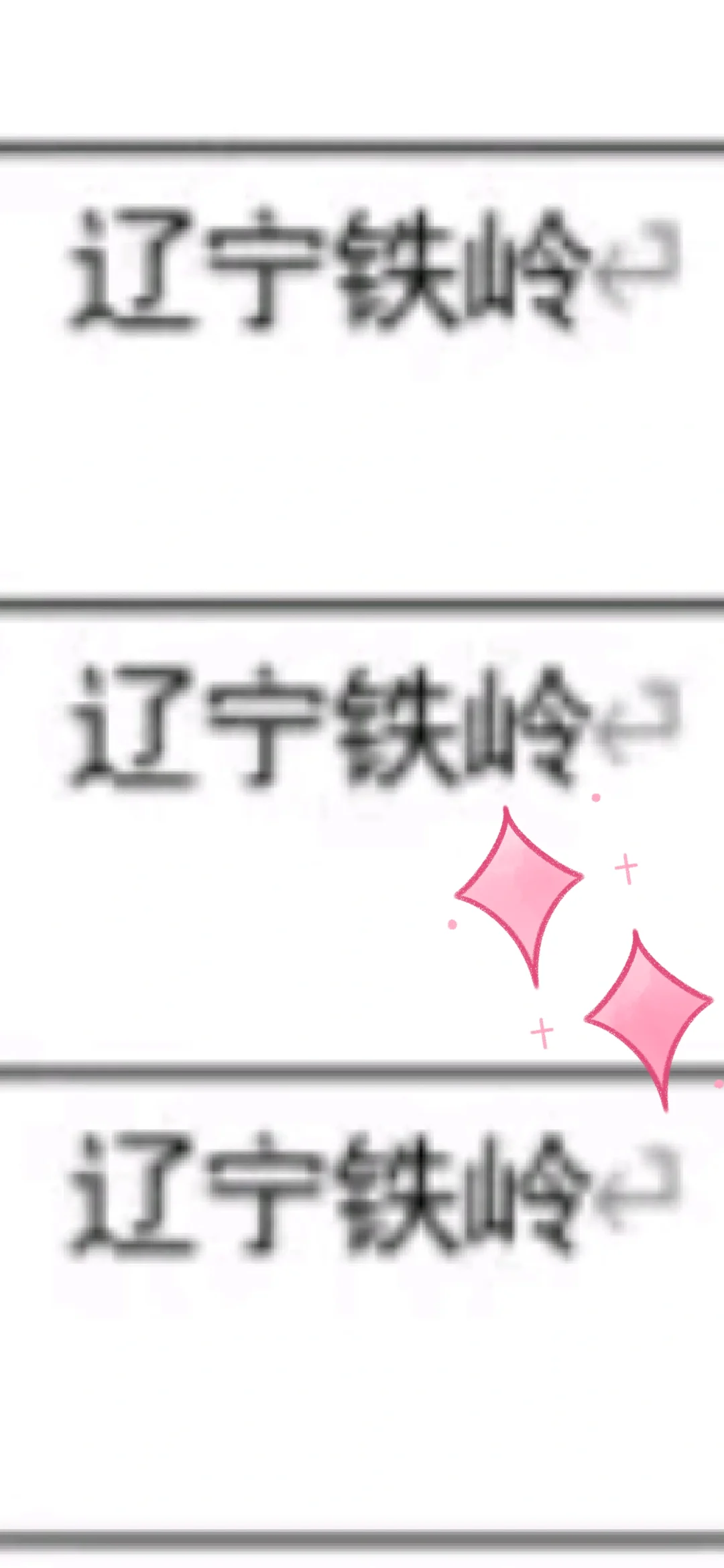 辽宁铁岭来啦！