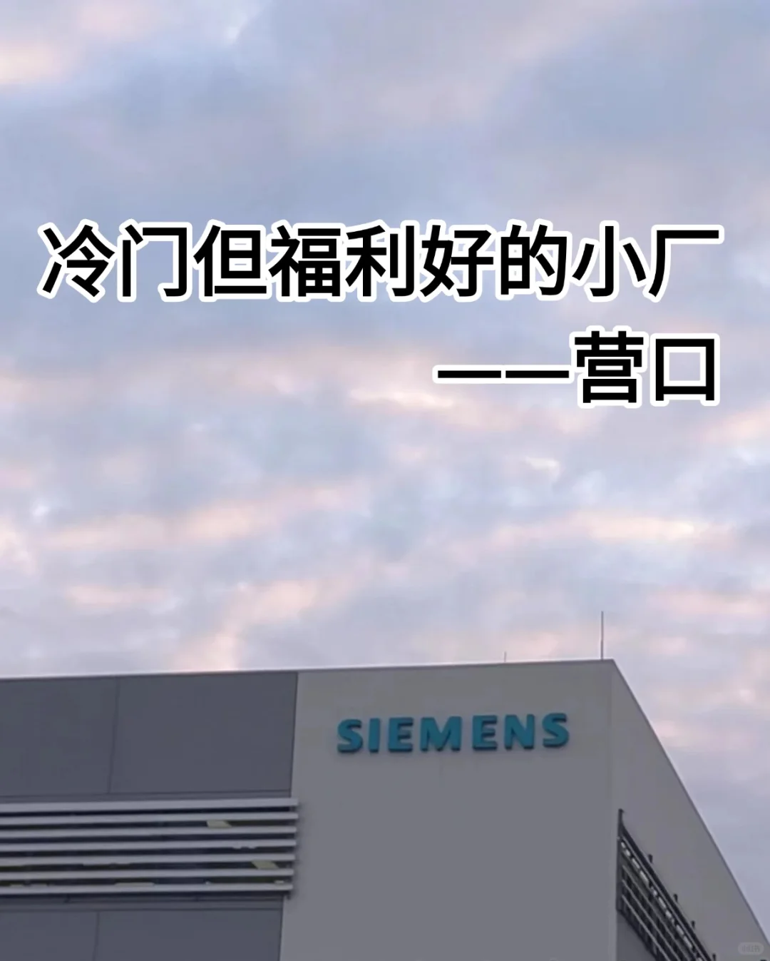 营口冷门但福利好的外企分享