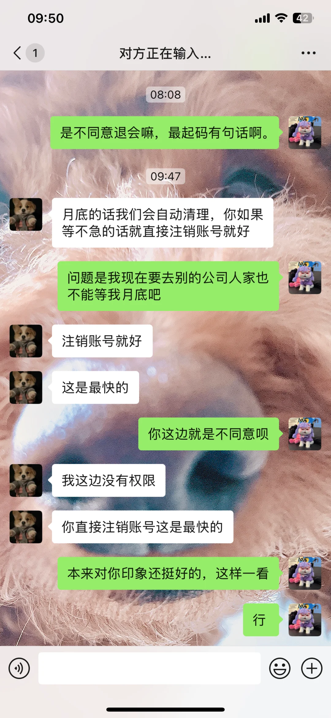 Boss直聘真的是人才辈出！