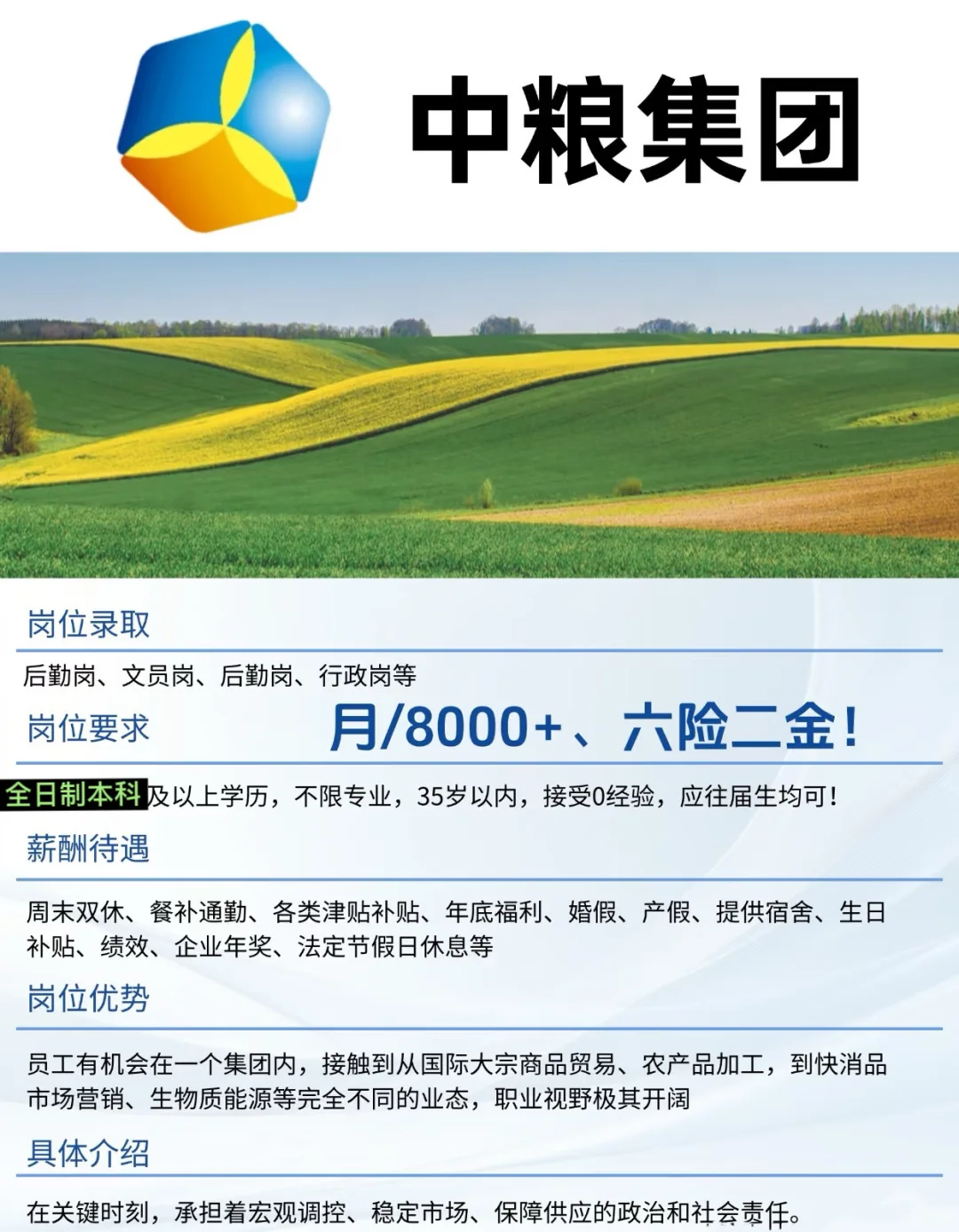 武汉中粮集团招聘，月8000+，六险二金