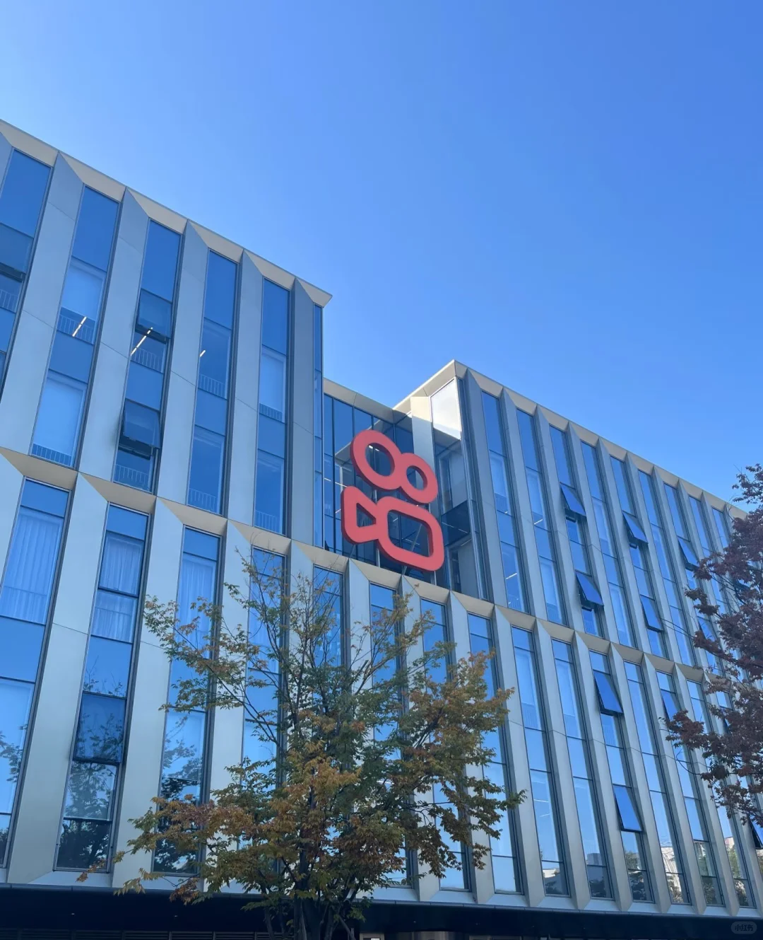 专科计算机福利！快手云原生内推 600 人