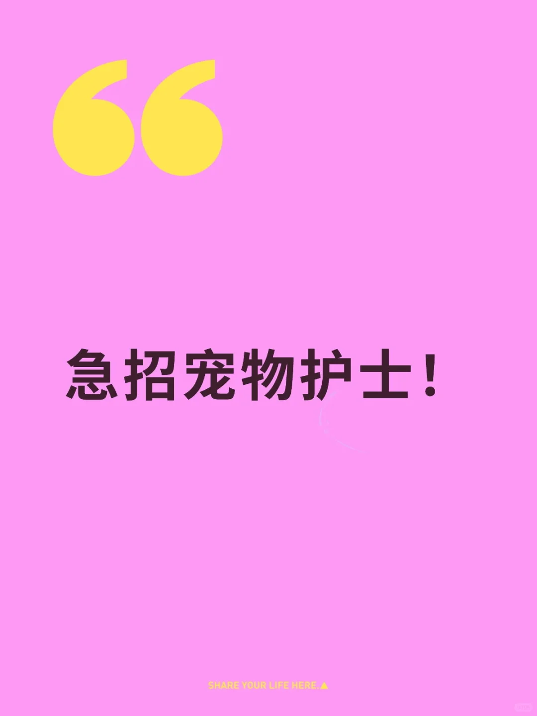 南宁市宠物医院急招宠物护士！！