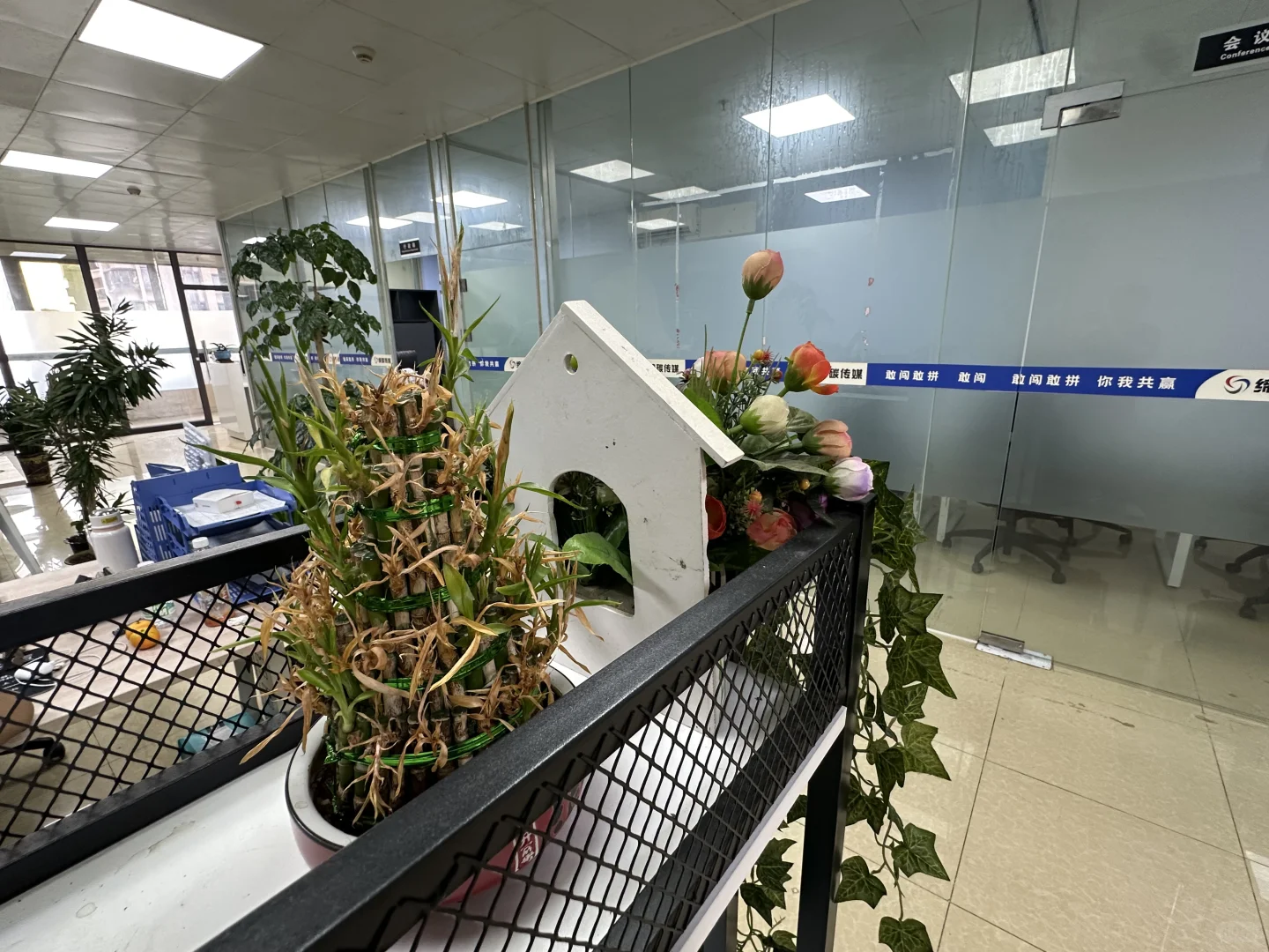 公司直聘，包吃住 8-12k
