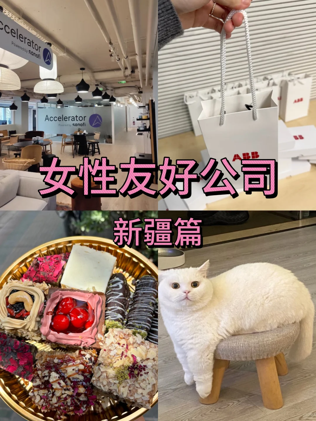 女性友好公司：新疆篇