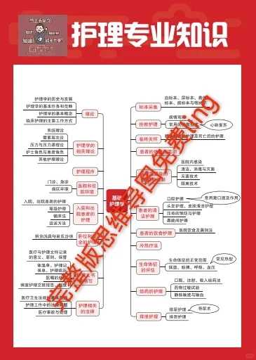 编制！广州市荔湾区医疗事业单位招聘98人
