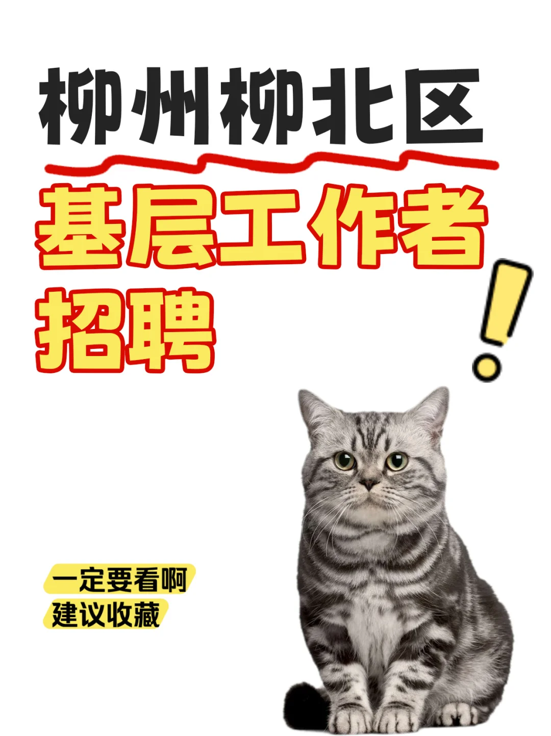 柳州社区招1人！党员优先🔥