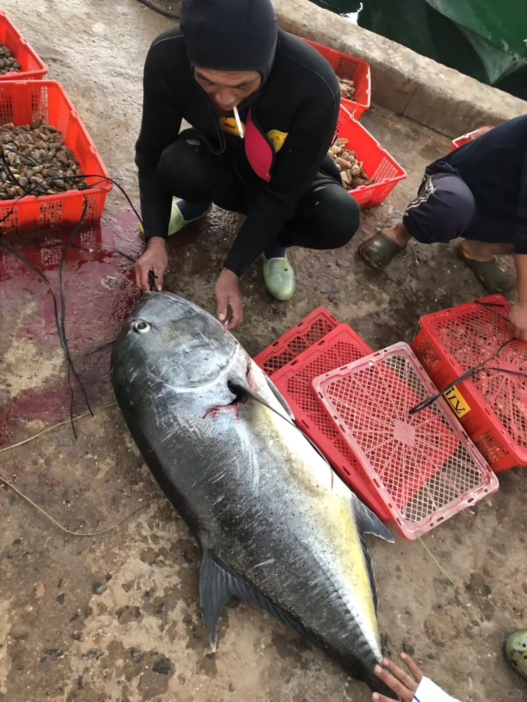 一个只有中国公民能去的地方