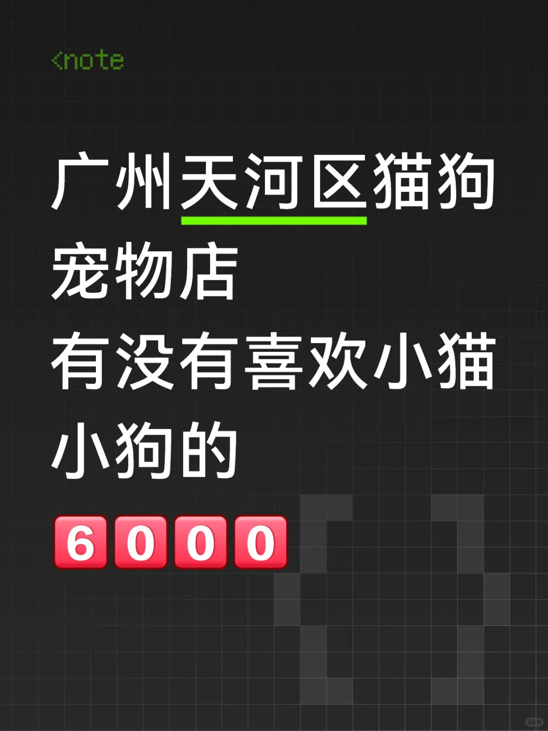 广州天河区喜欢小猫小狗的来