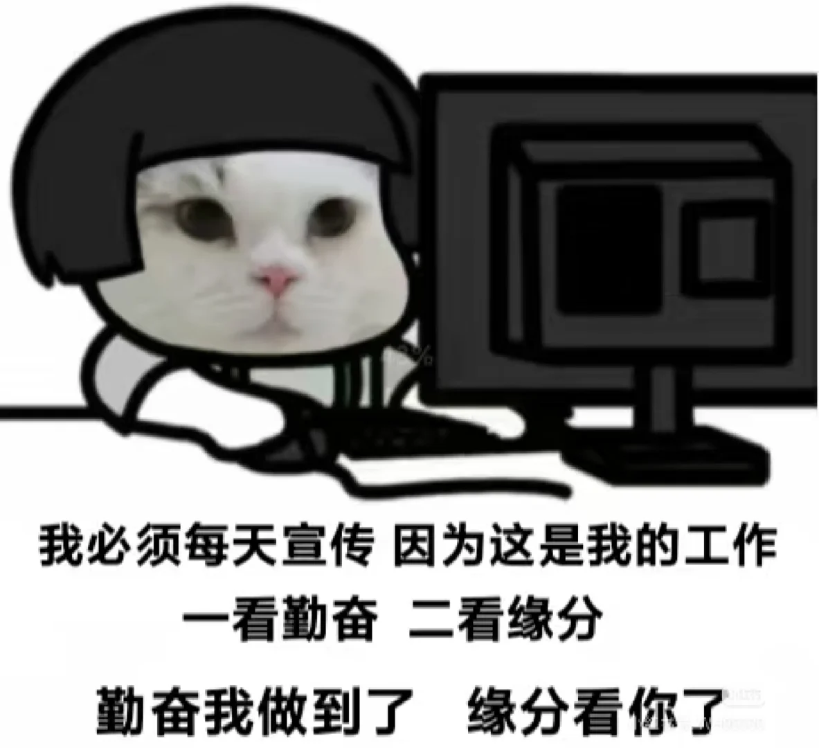 武冈财税岗招人啦！适合小姐姐的双休好工作