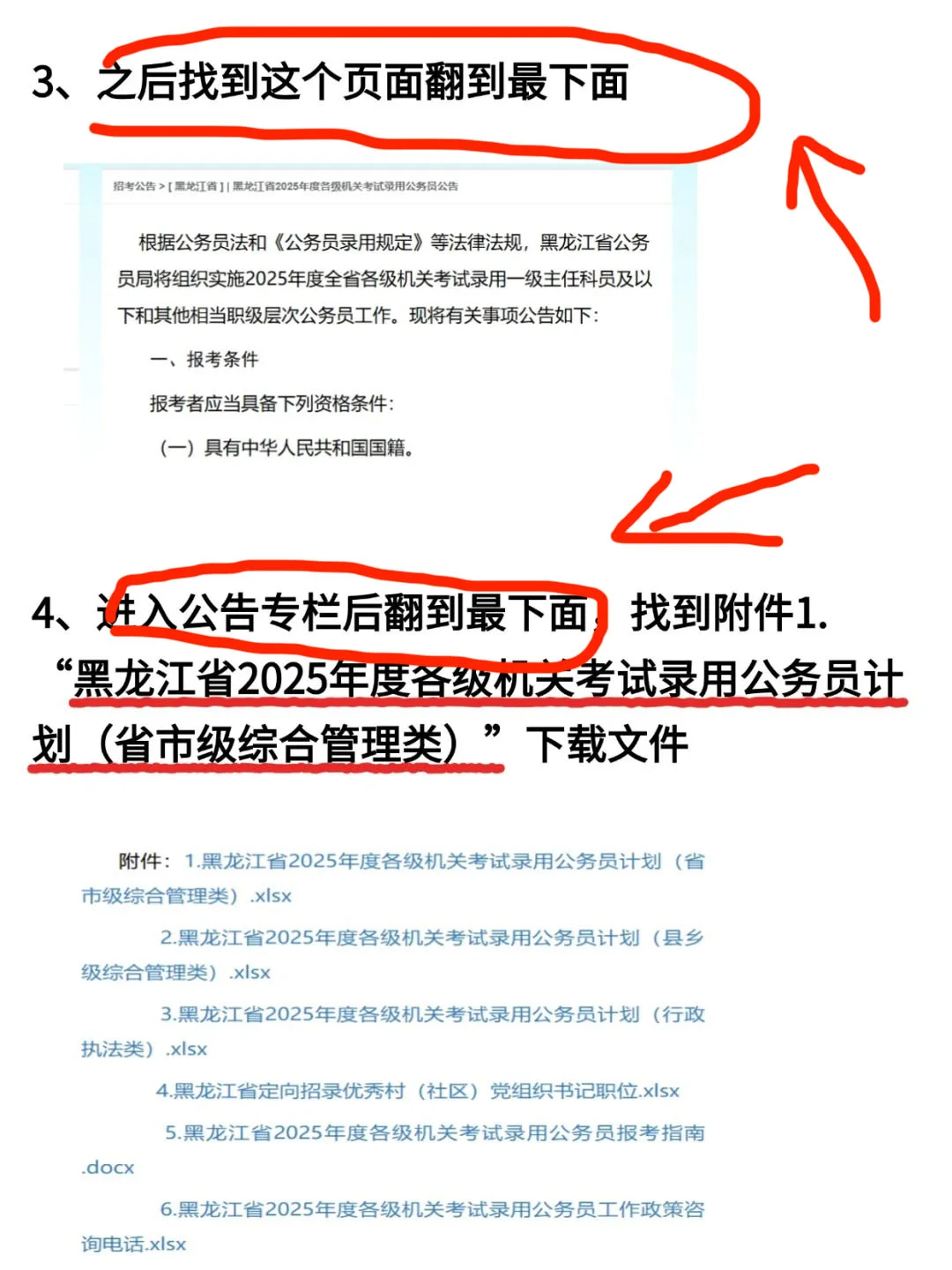 选岗篇--黑龙江省