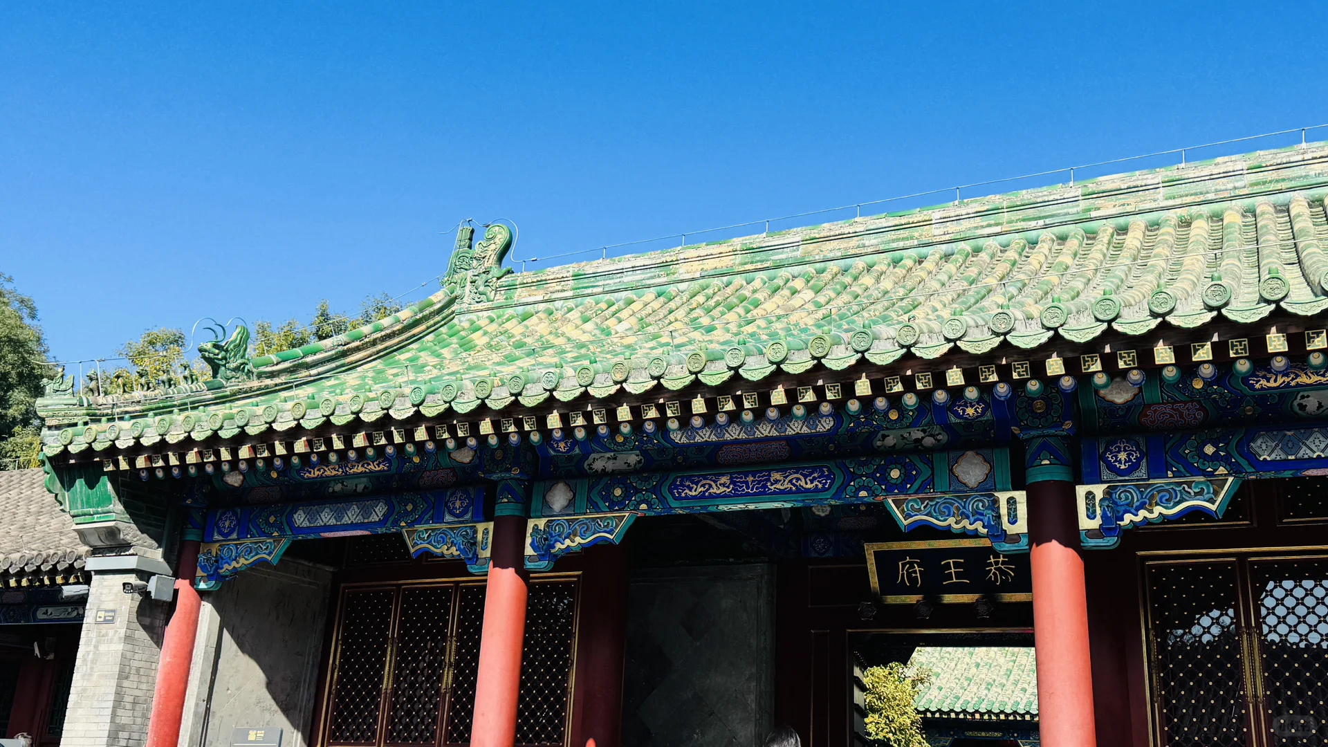 失业的秋天真美