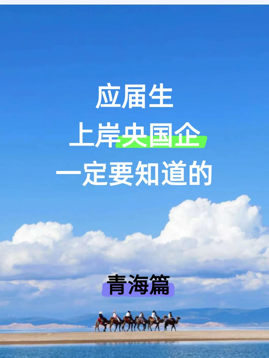 应届生上岸央国企一定要知道的青海篇