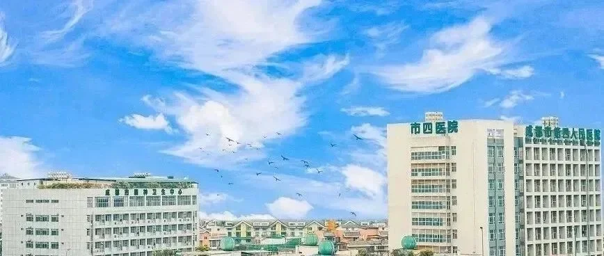 成都市第四人民医院2025年考核招聘50多人