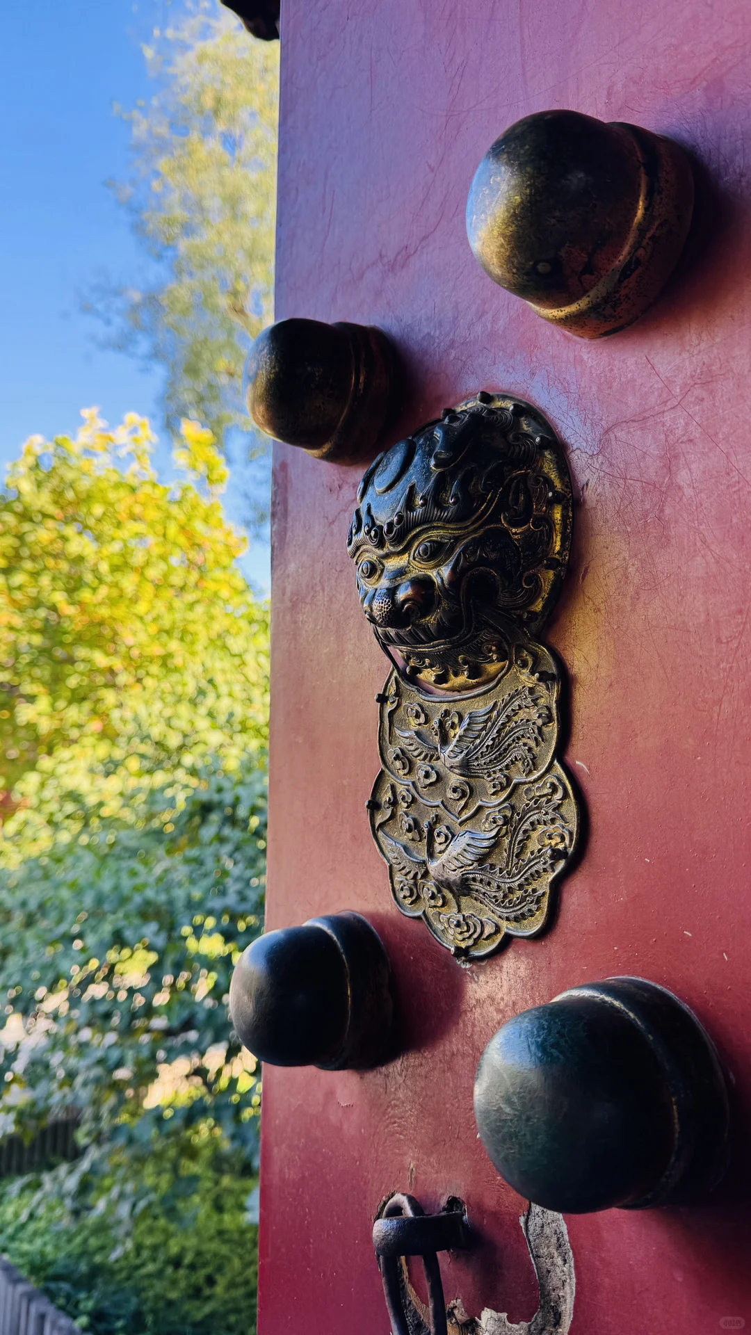 失业的秋天真美