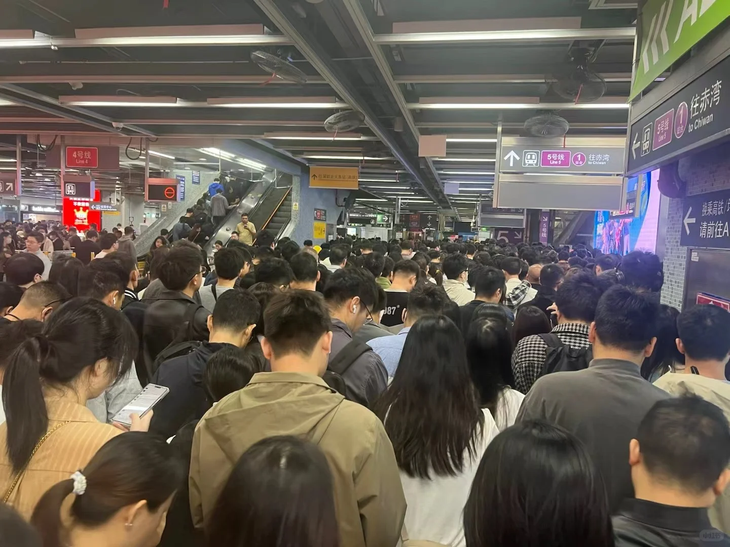 深圳教师面试：别猜考官画什么！