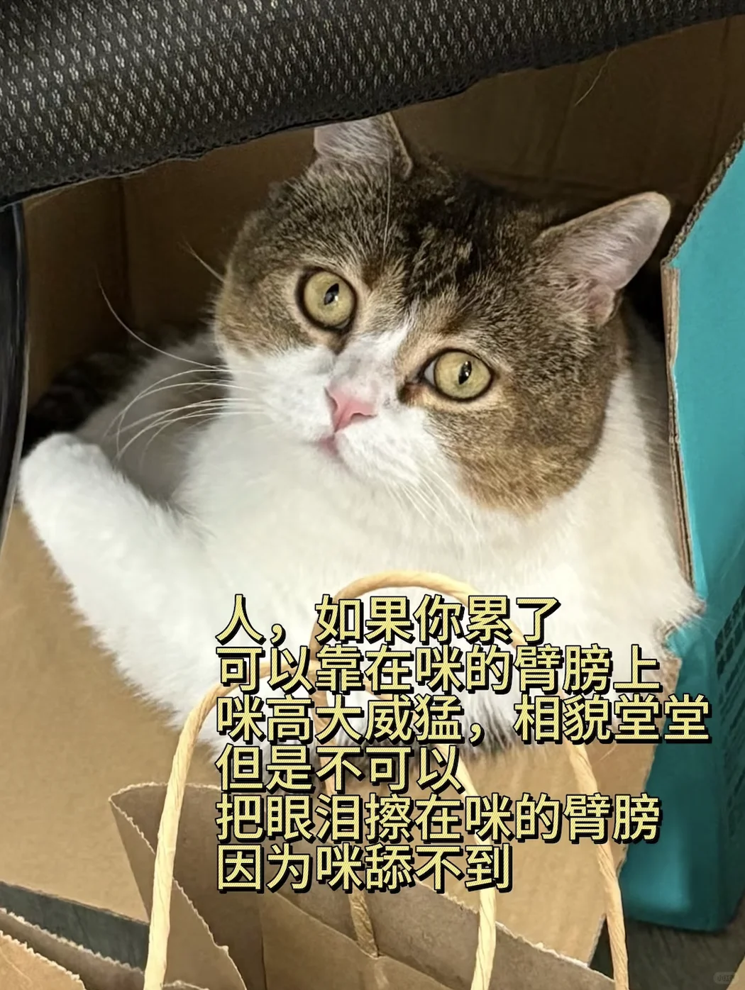 成都外贸公司招人啦！