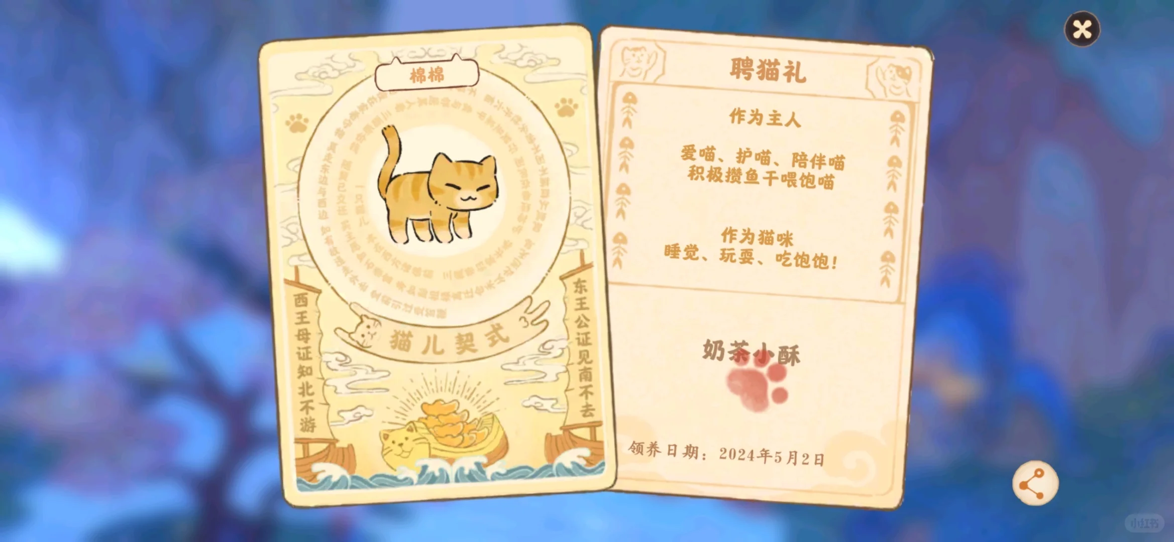 聘猫礼上电视了太好啦太好啦