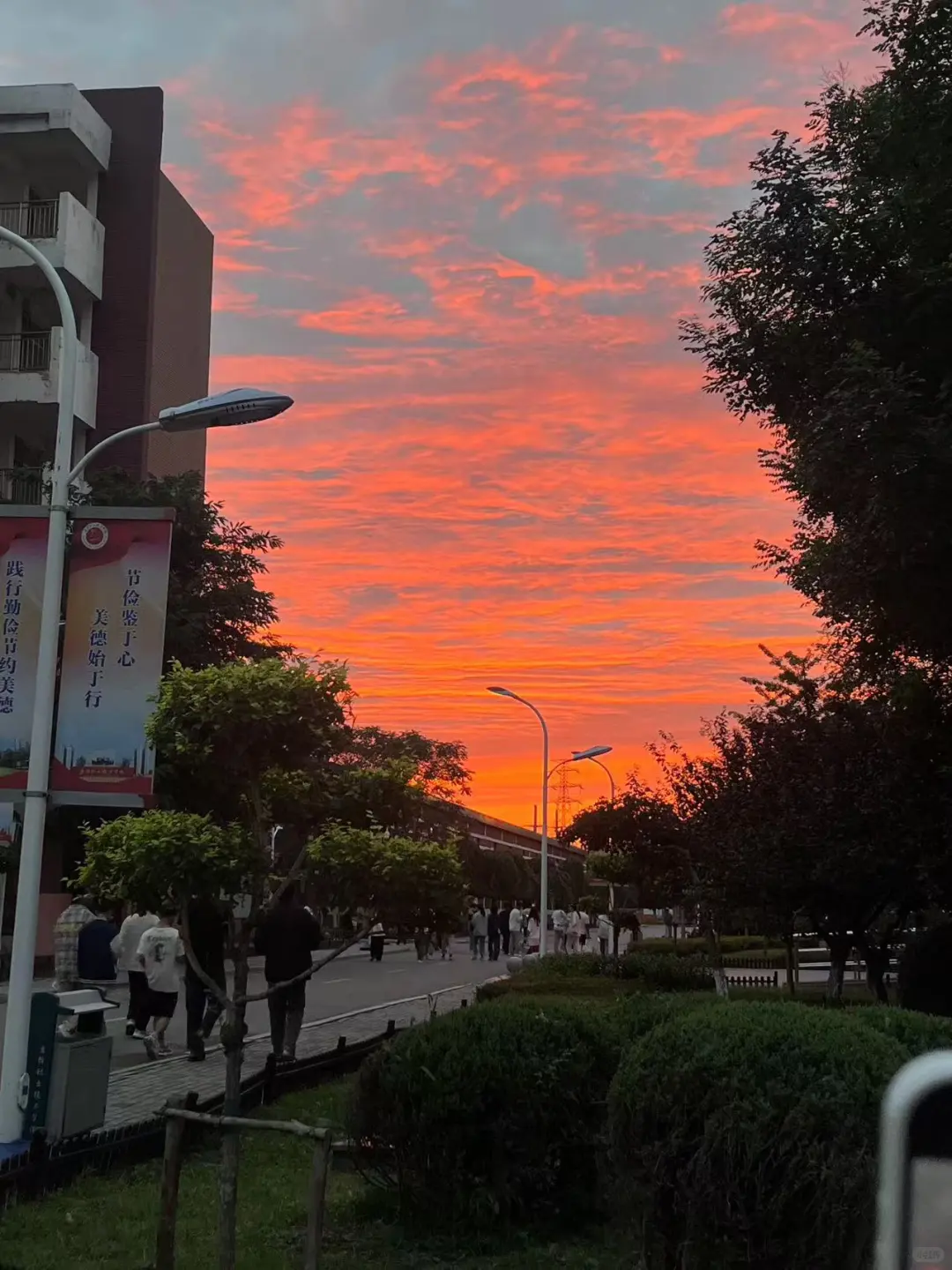 欢迎来到盘职院