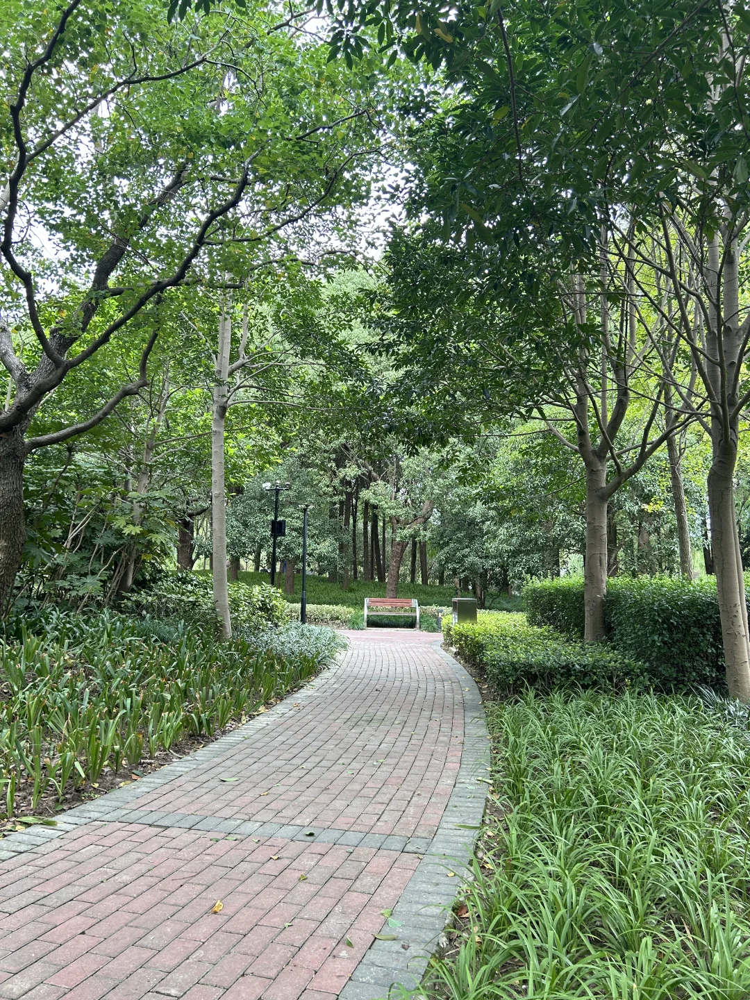 早啊～失业中年老登已到公园standby了
