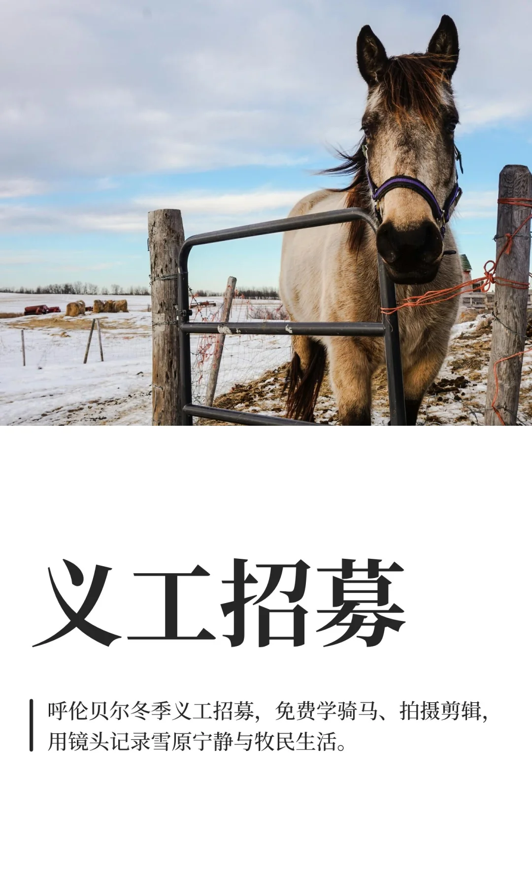 义工招募