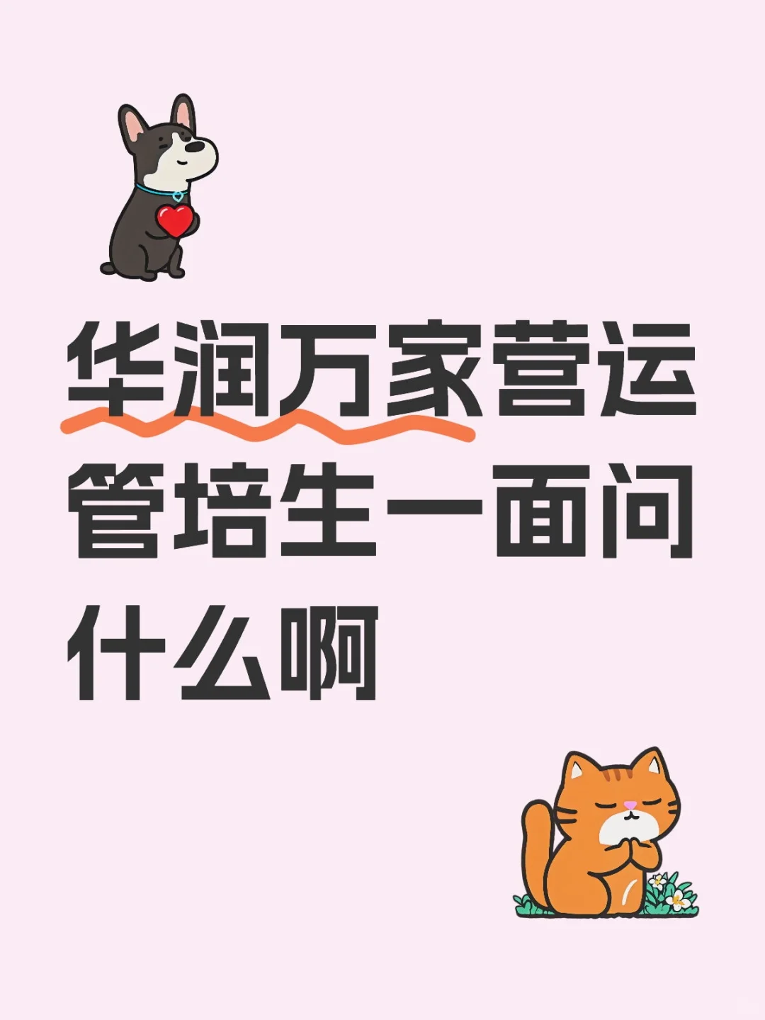 简单了解下！