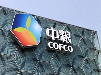 中粮秋招10.31截止！应届生往届冲🚀