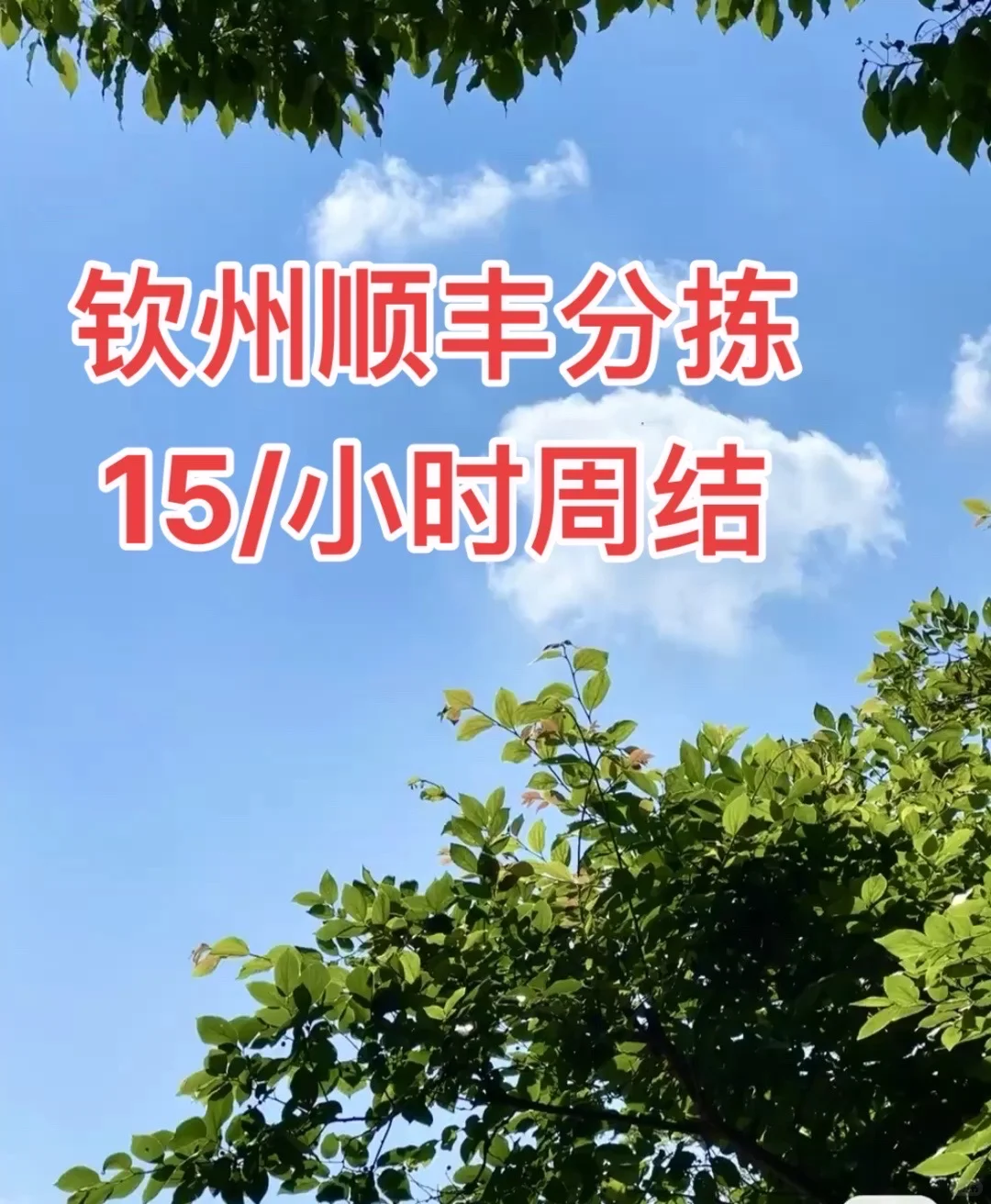 顺丰分拣，周结，周结！