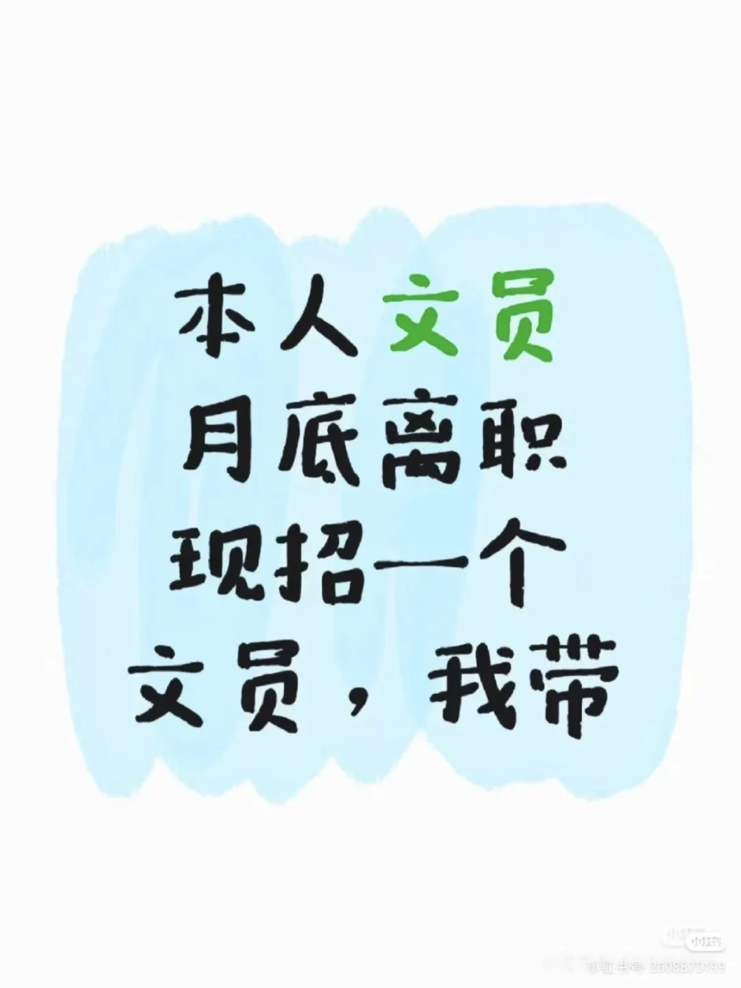 #适合女孩的工作 #文员 #招聘日常 #办公室