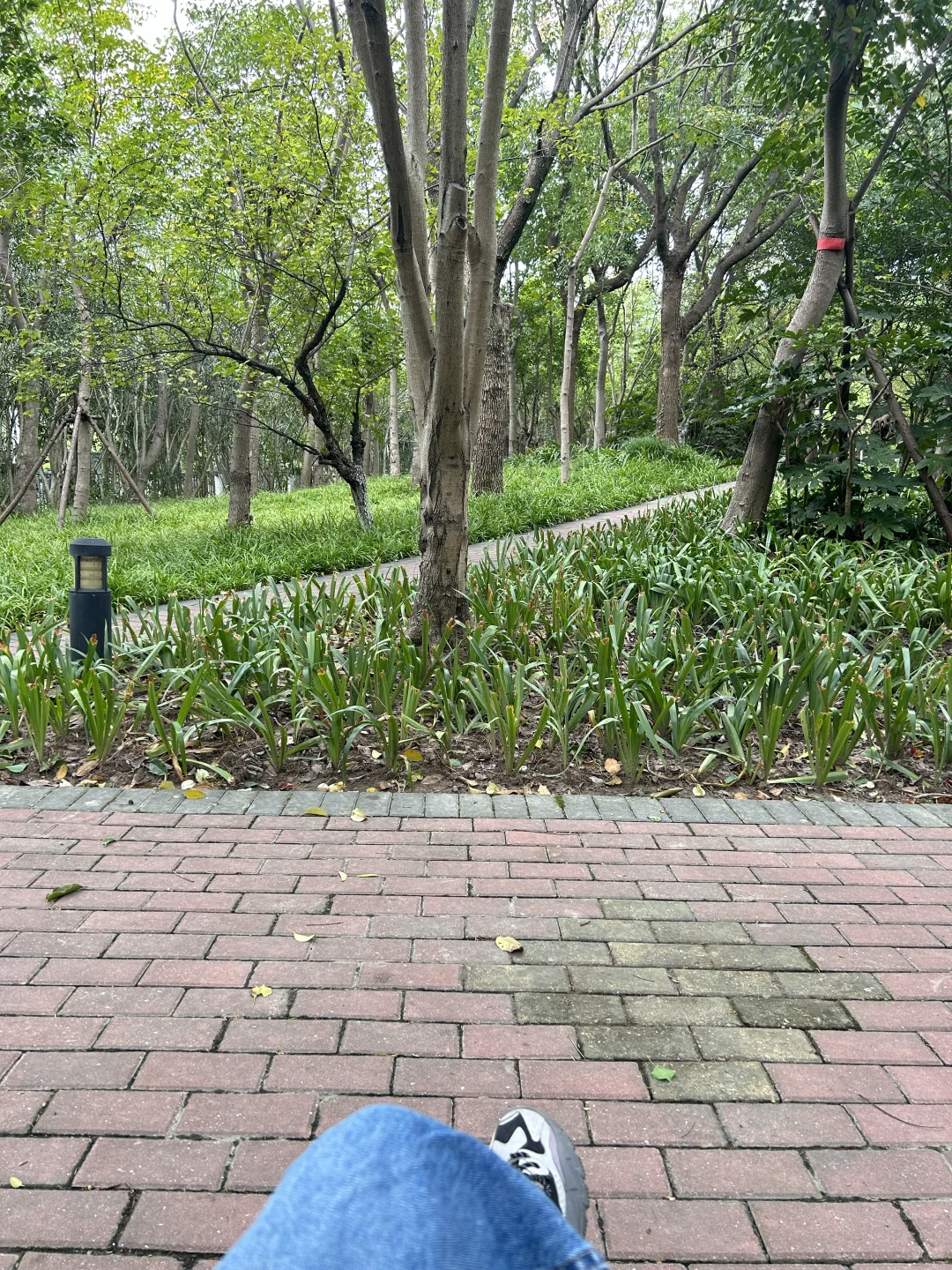早啊～失业中年老登已到公园standby了