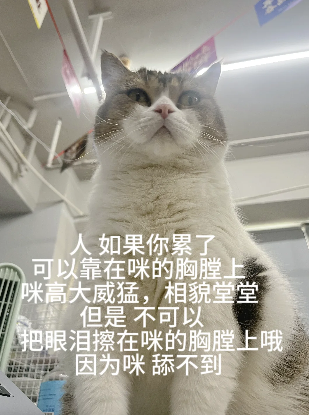 成都外贸公司招人啦！