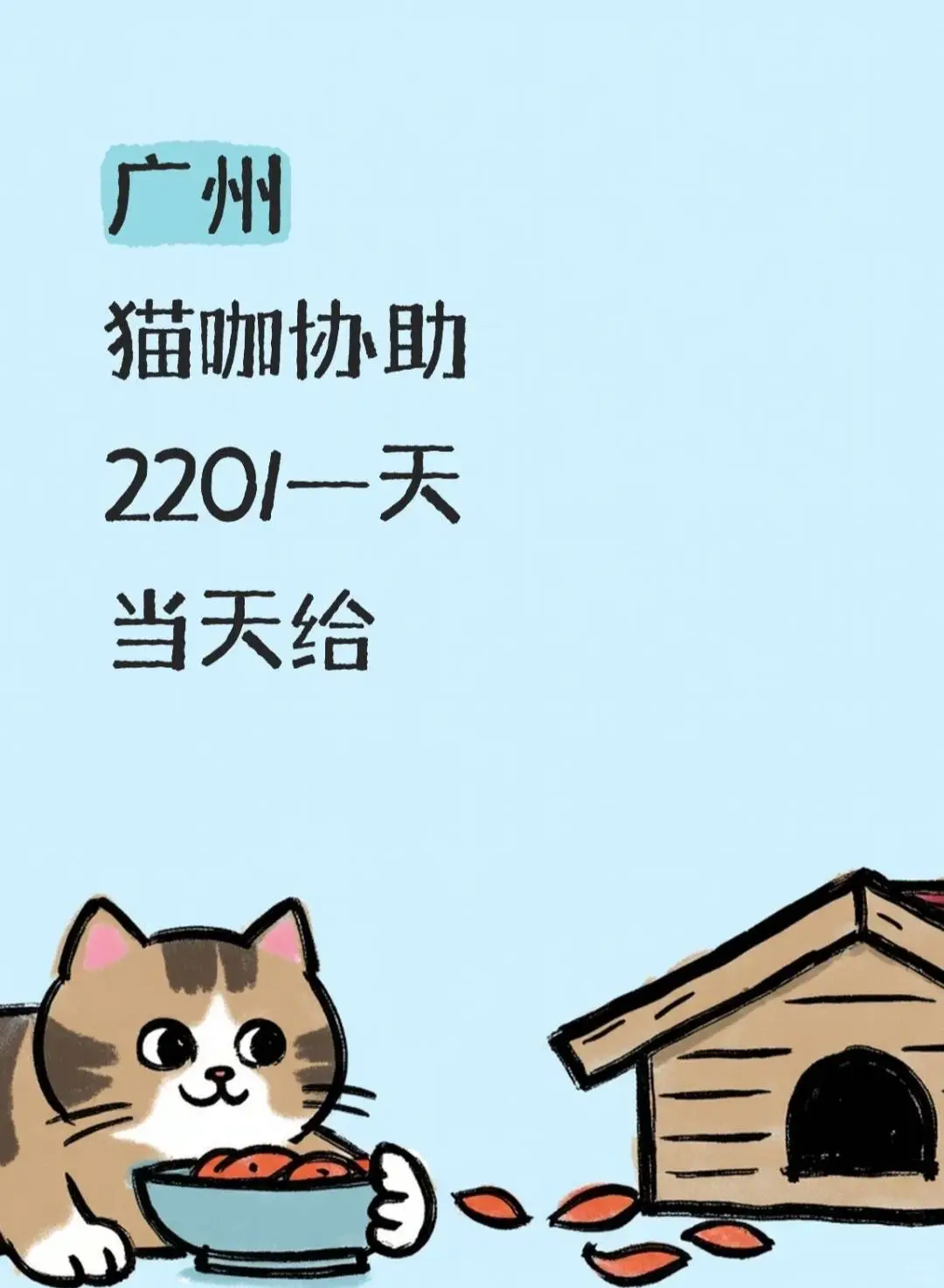 广州越秀区猫咖协助