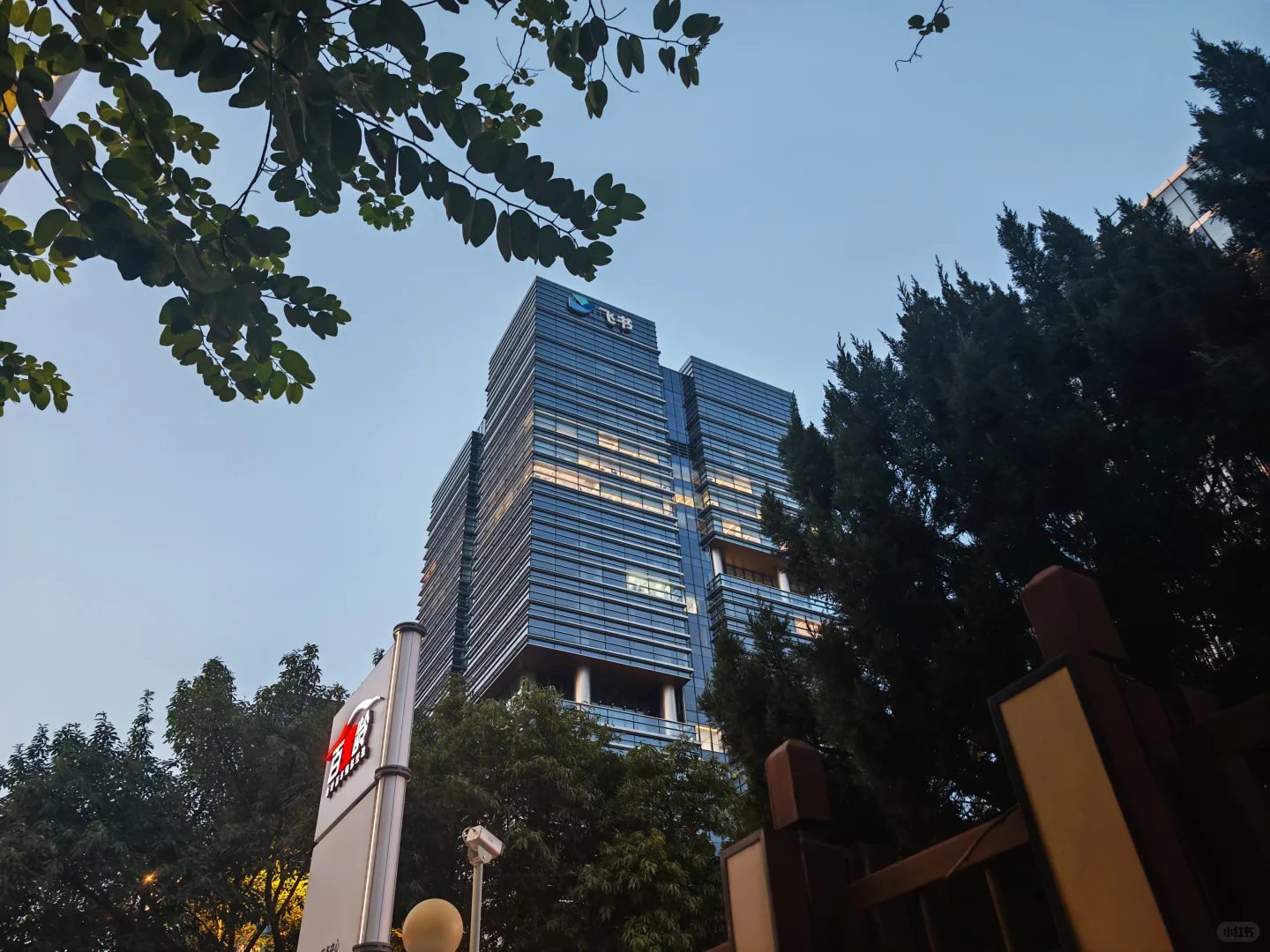 字节厦门现在在招聘的岗位
