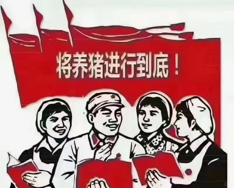 德驰农牧有限公司