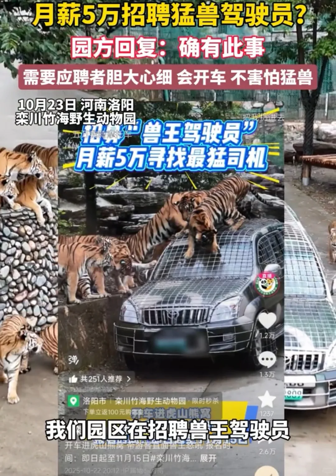 招聘：月薪五万非大厂，非985，胆大就行