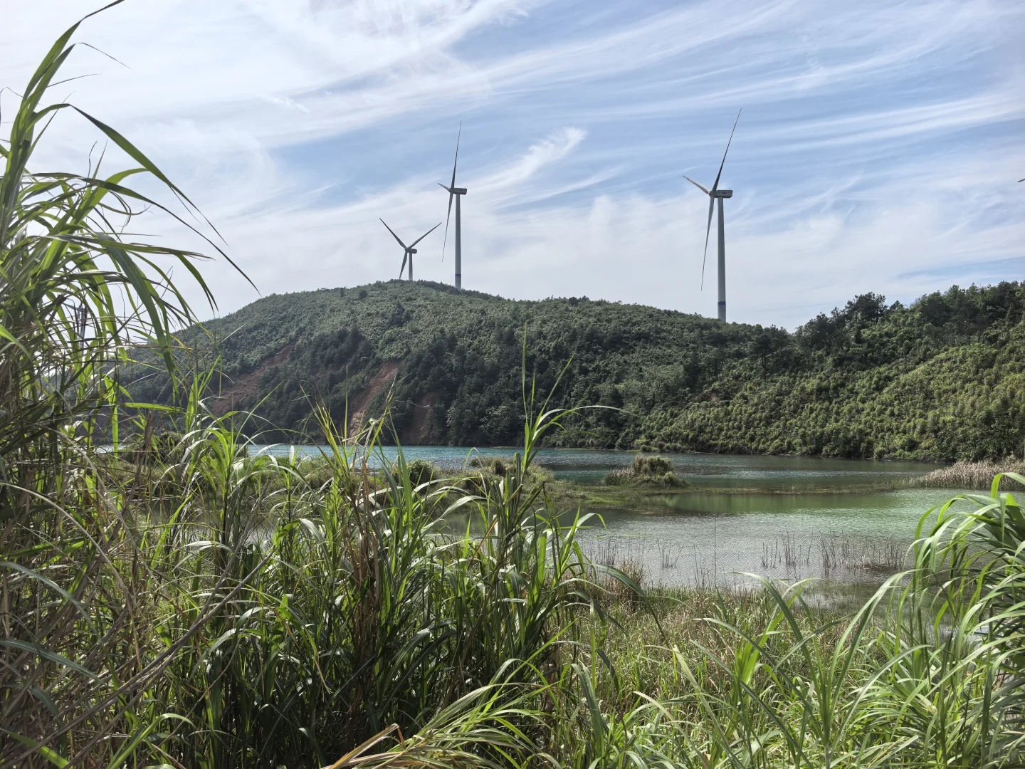 贺州市八步区招兼职保姆阿姨