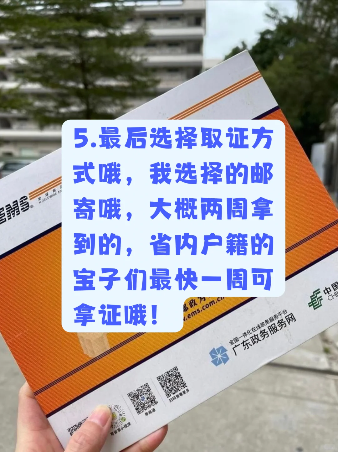 🔥【云浮2025护照办理全攻略】7天拿证