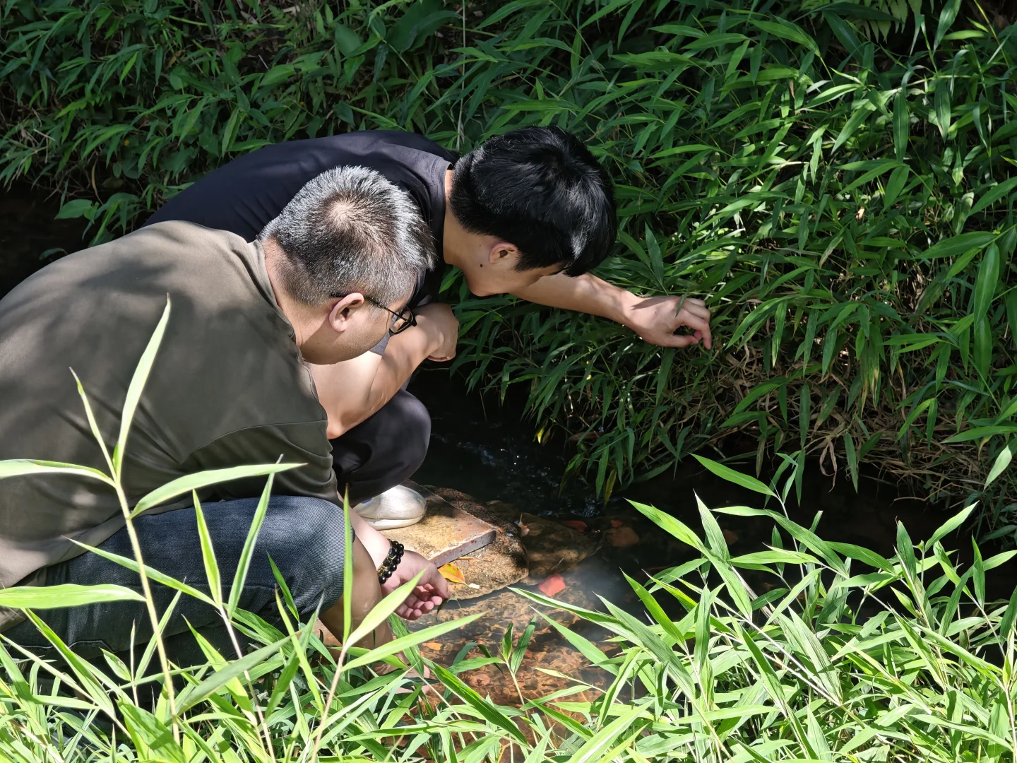 寻找三农合伙人