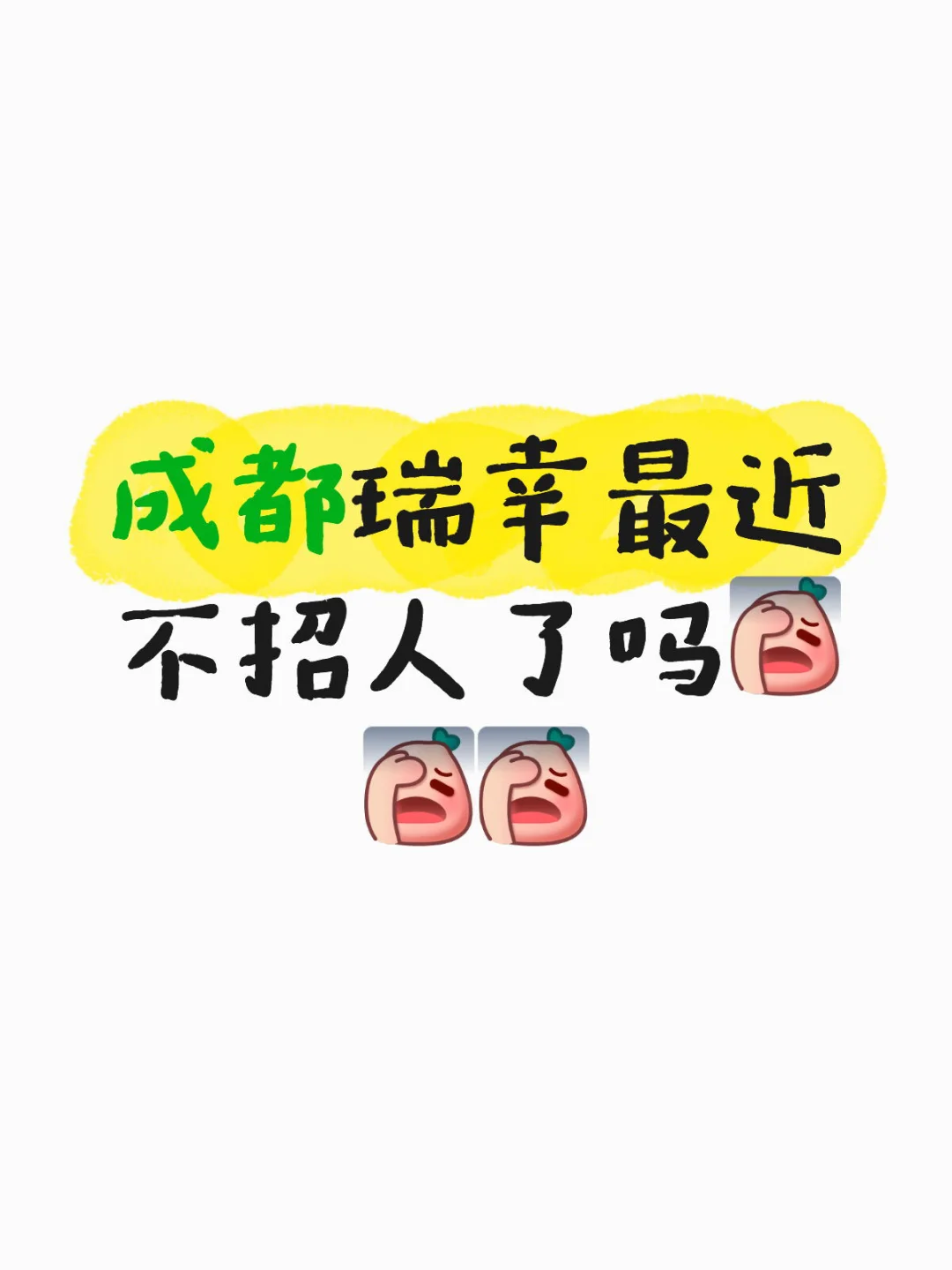 成都的瑞幸门店最近不招人了吗
